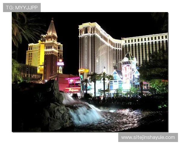 拉斯维加斯金沙官网VIP会员制度详解享受专属福利与优先服务体验